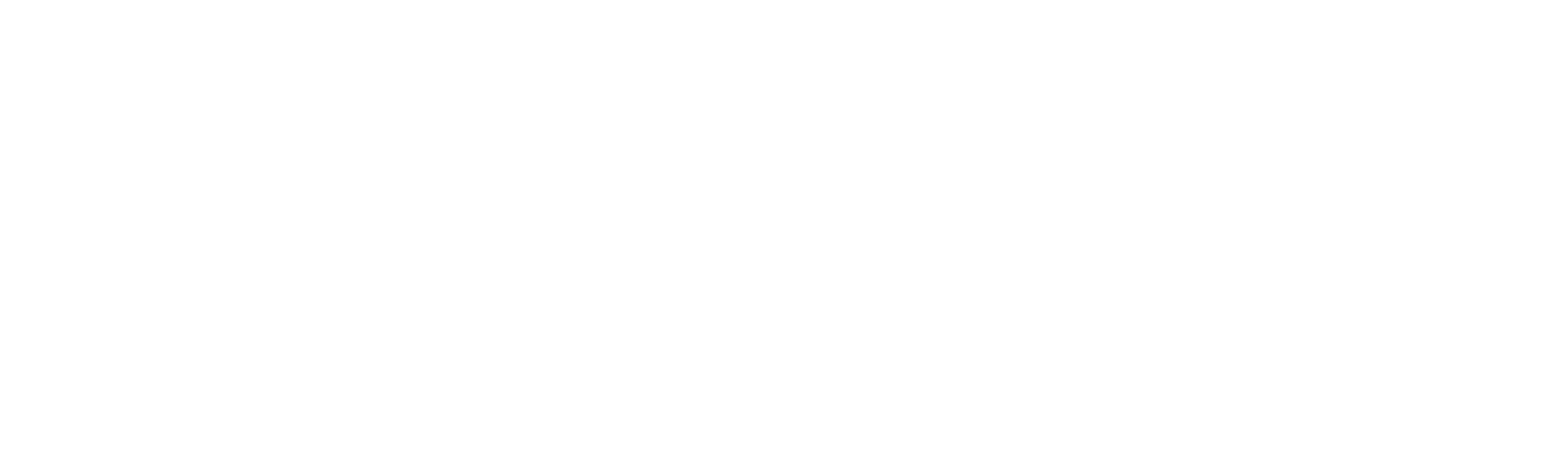 Inspekt_Logo_White